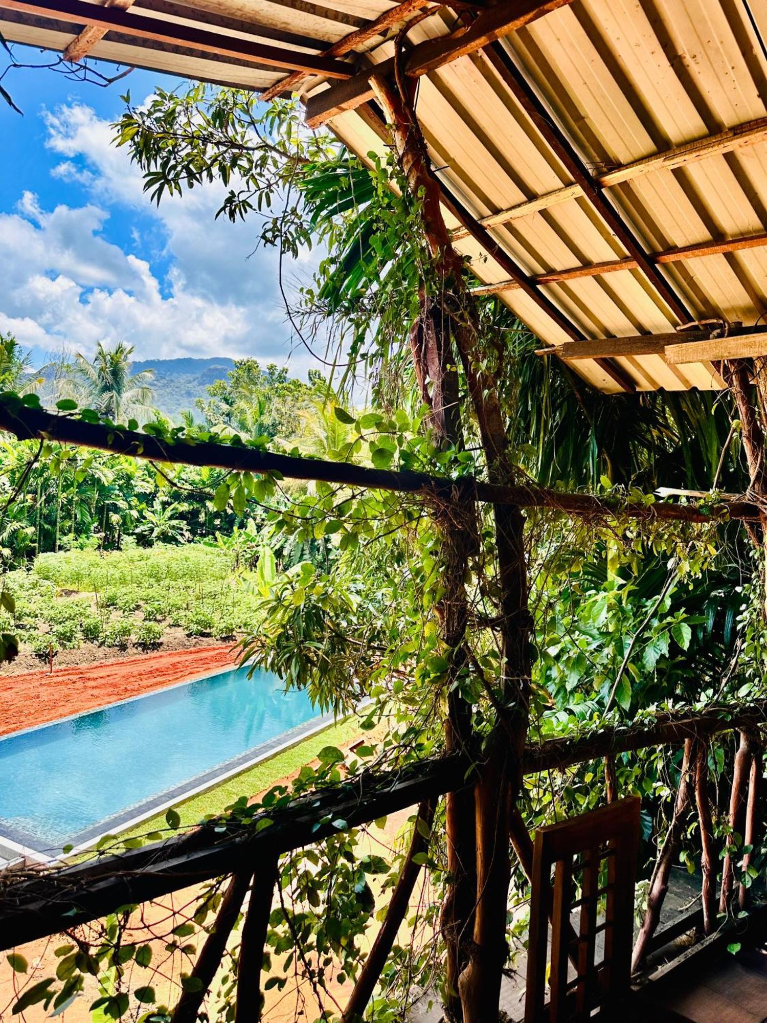 Apartmán Blue Mountains View Dambulla Exteriér fotografie
